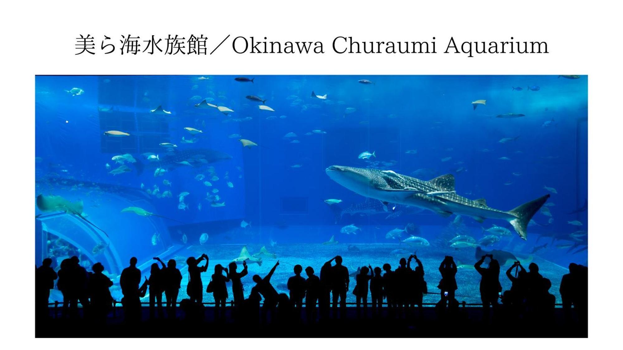 Aqua Shallows Onna Dış mekan fotoğraf